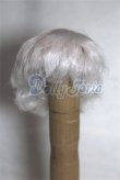 画像1: 6inch/ウィッグ/インチ　BJD　MJD　ドール用 A-26-08-17-081-NY-ZA (1)