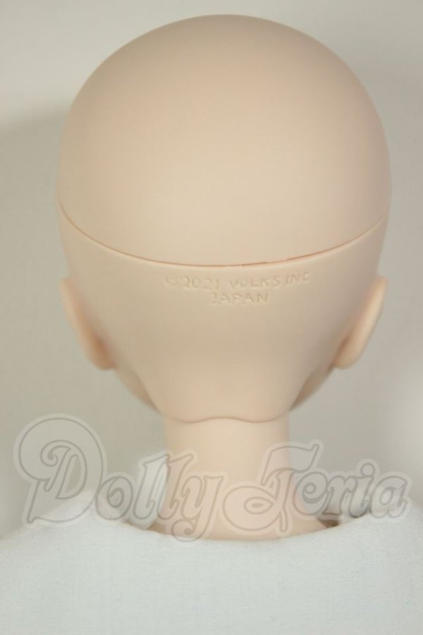 画像5: DDS/DC-H-29　ドリームチョイス A-26-07-27-301-NY-ZA (5)