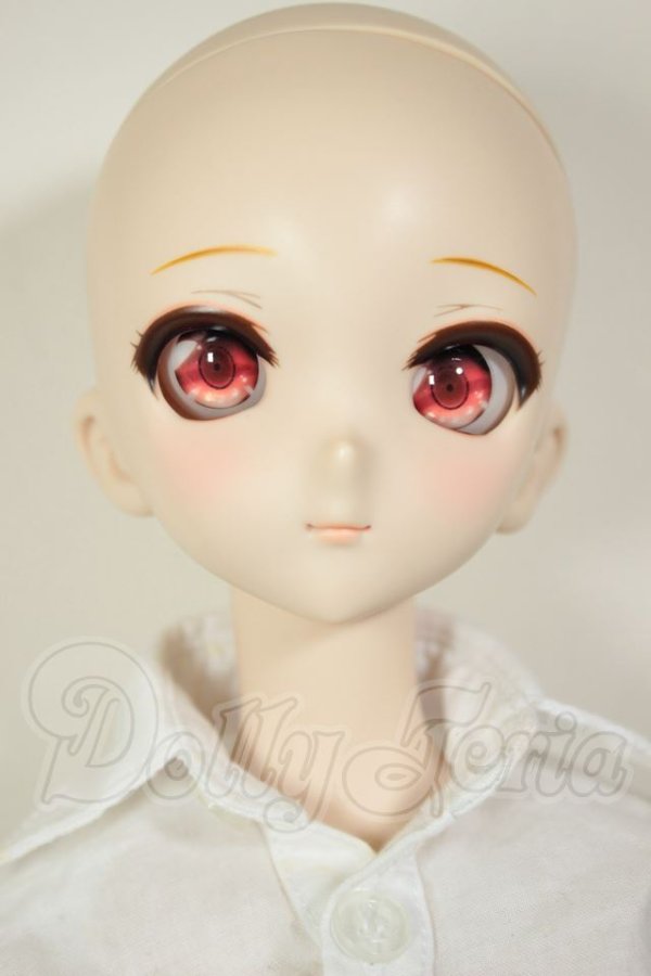 画像2: DD/DC-H-10　ドリームチョイス A-26-07-27-302-NY-ZA (2)