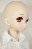 画像3: DD/DC-H-10　ドリームチョイス A-26-07-27-302-NY-ZA (3)