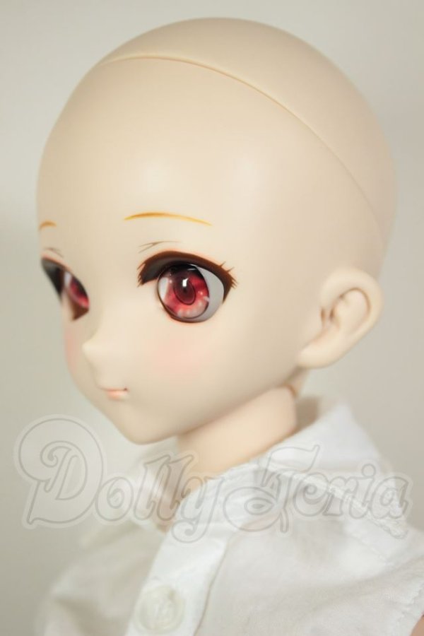 画像4: DD/DC-H-10　ドリームチョイス A-26-07-27-302-NY-ZA (4)