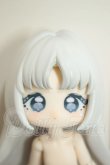 画像1: MOOWOOART シュガー100％　ブルーベリータルト A-26-07-27-295-NY-ZA (1)