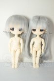画像3: PICCODO ACTION DOLL X 白匣アリス 白桑&灰葉 A-26-07-27-304-NY-ZA (3)