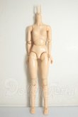 画像1: ボークス/約19ｃｍ女性ボディ A-26-08-03-392-NY-ZA (1)