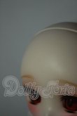 画像8: TinyFox/ 狐狐神・闇神グラファ A-26-07-27-307-NY-ZA (8)