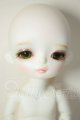 画像: WITH DOLL/SHAWN A-26-08-03-109-NY-ZA