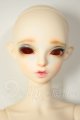 画像: FAIRY LAND/FairyLine60 Miwa Full Option Package (Antique Rabbit) A-26-08-03-108-NY-ZA