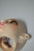 画像9: FAIRY LAND/FairyLine60 Miwa Full Option Package (Antique Rabbit) A-26-08-03-108-NY-ZA (9)