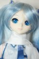 画像: DD/雪ミク A-26-08-03-104-NY-ZA
