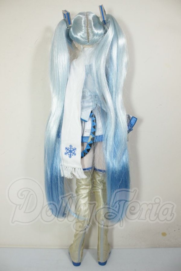 画像7: DD/雪ミク A-26-08-03-104-NY-ZA (7)