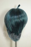 画像2: 8.5inch/ウィッグ A-26-08-03-234-NY-ZA (2)