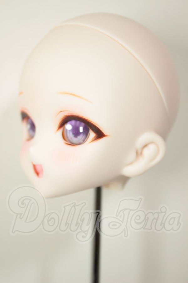 画像3: DDH-10/カスタムヘッド A-26-08-10-121-NY-ZA (3)