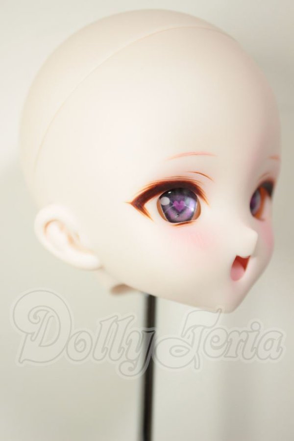 画像2: DDH-10/カスタムヘッド A-26-08-10-120-NY-ZA (2)