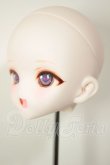 画像3: DDH-10/カスタムヘッド A-26-08-10-120-NY-ZA (3)