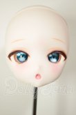 画像1: DD/DDH-27:カスタムヘッド A-26-08-10-113-NY-ZA (1)
