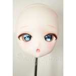 画像: DD/DDH-27:カスタムヘッド A-26-08-10-113-NY-ZA
