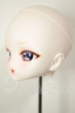画像3: DD/DDH-27:カスタムヘッド A-26-08-10-112-NY-ZA (3)