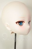 画像2: DD/DDH-29　カスタムヘッド A-26-08-10-119-NY-ZA (2)