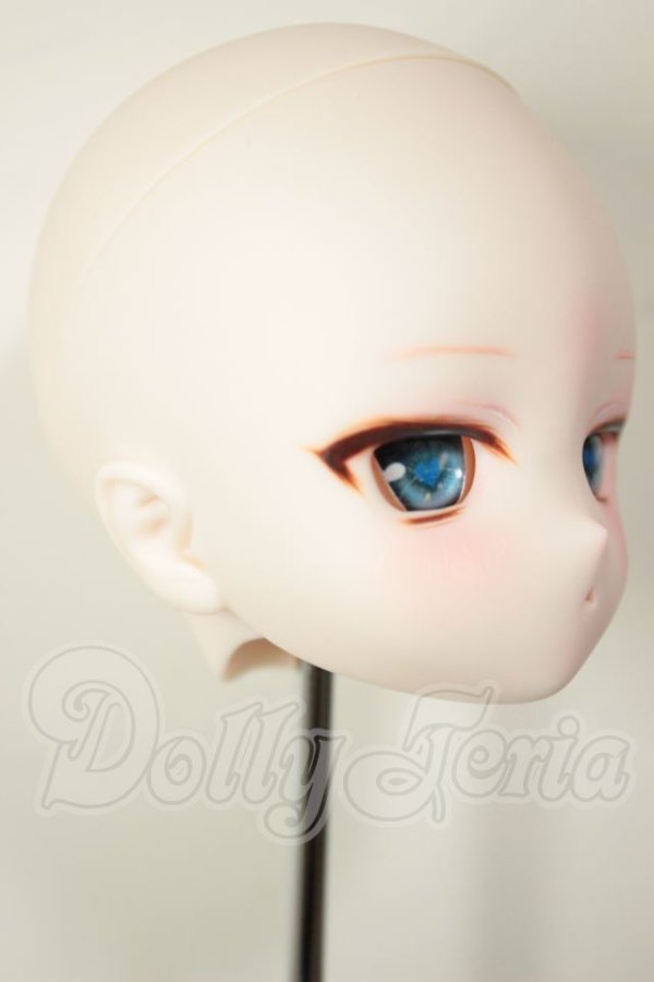 画像2: DD/DDH-29　カスタムヘッド A-26-08-10-119-NY-ZA (2)