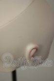 画像7: DDH-01/カスタムヘッド＋ウィッグ　Derteufel666様製 A-26-08-10-111-NY-ZA (7)