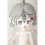 画像: フルーツ飴研究所/アップルキャンディ A-26-08-10-103-NY-ZA