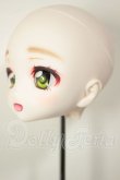 画像3: DD/DDH-27:カスタムヘッド A-26-08-10-122-NY-ZA (3)