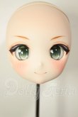 画像1: DD/DDH-27:カスタムヘッド A-26-08-10-124-NY-ZA (1)