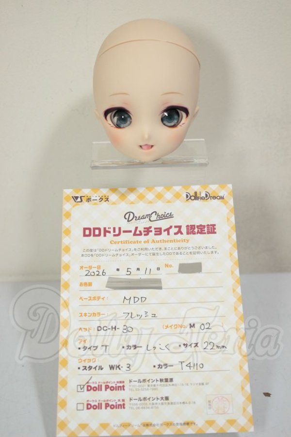 画像5: DD/DC-H-30ヘッド A-26-08-17-123-NY-ZA (5)