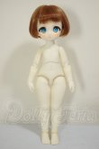 画像6: TinyFox/町の創造主 狐狐神 A-26-08-17-124-NY-ZA (6)