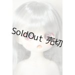 画像: TinyFox/幼い赤狼リトルアンナ1/6 A-26-08-17-119-NY-ZA