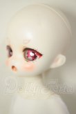 画像4: TinyFox/幼い赤狼リトルアンナ1/6 A-26-08-17-119-NY-ZA (4)