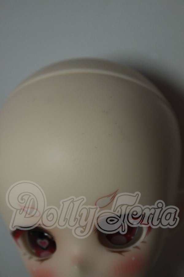 画像8: TinyFox/幼い赤狼リトルアンナ1/6 A-26-08-17-119-NY-ZA (8)