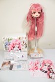 画像6: DDH-27/RainyBunny様カスタムヘッド＋ウィッグ＋小物 A-26-08-17-117-NY-ZA (6)