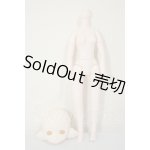 画像: 1/6サイズ/ボディ+ヘッド A-26-08-17-105-TN-ZA