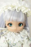 画像1: IMOMODOLL/1/6ヘッド+ボディセット A-26-08-17-107-NY-ZA (1)