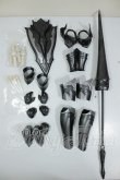 画像1: MDD/竜騎士装備セット　aimai_middle あいまいみどる様製 A-26-08-17-388-NY-ZA (1)