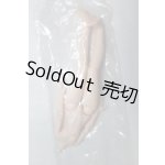 画像: sugary girls/ボディ/ A-26-09-07-014-NY-ZA