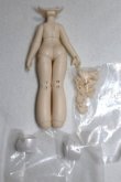 画像2: 秘境巡礼/ボディパーツ/ A-26-09-07-060-NY-ZA (2)