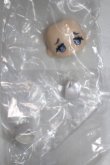 画像1: 秘境巡礼/ヘッドパーツ/ A-26-09-07-069-NY-ZA (1)
