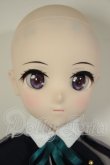 画像3: DDS/井ノ上たきな リコリス・リコイル A-26-08-17-251-NY-ZA (3)