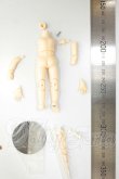 画像2: オビツ11/ボディ A-26-08-31-274-NY-ZA (2)