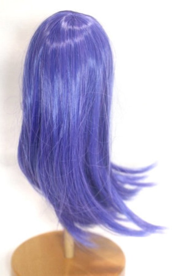 画像2: 9inch/ウィッグ/インチ　BJD　MJD　ドール用 A-26-09-14-096-NY-ZA (2)