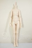 画像1: MDD/ベースボディ2.0 A-26-08-17-257-NY-ZA (1)
