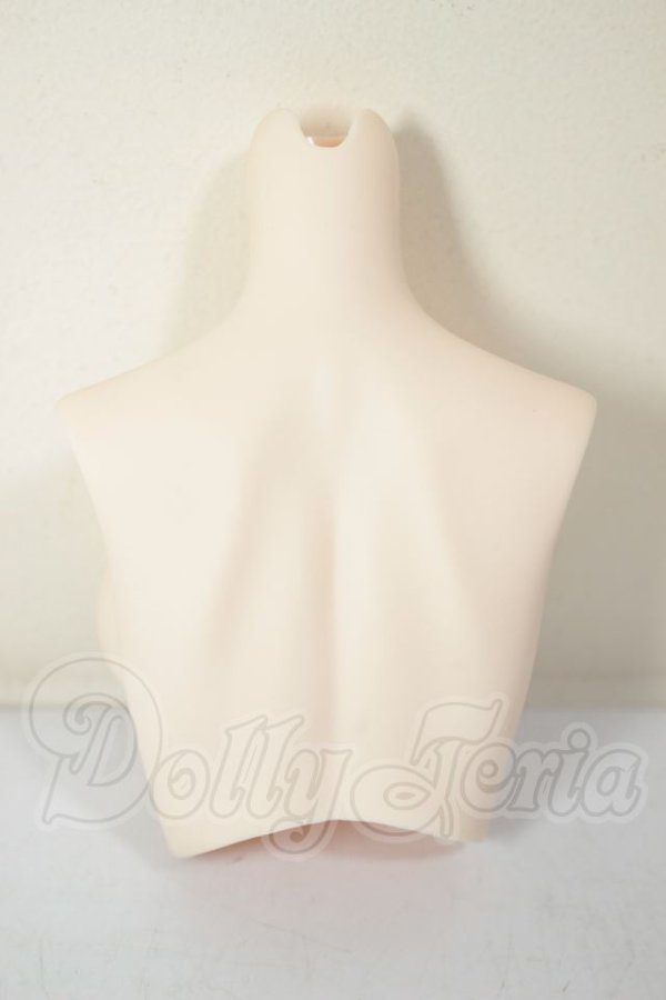 画像2: DD/DD2.0(DD-f3)-B-L-SW 上半身パーツ L胸 A-26-09-14-288-NY-ZA (2)