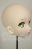 画像2: DDH-07/DDオプションヘッド　メイク済2015Ver. A-26-09-14-290-NY-ZA (2)