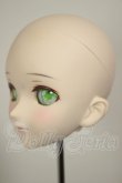 画像3: DDH-07/DDオプションヘッド　メイク済2015Ver. A-26-09-14-290-NY-ZA (3)