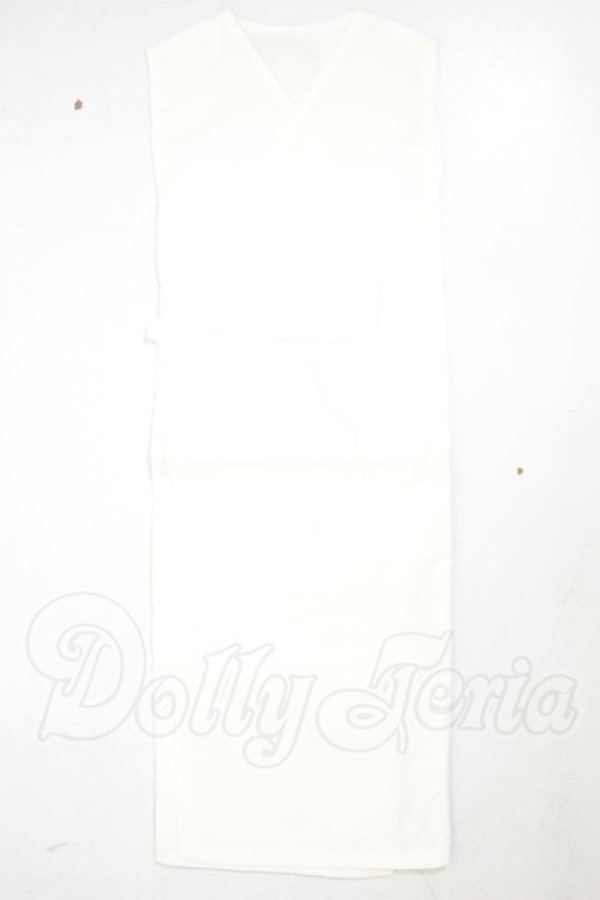画像1: SD/OF：長襦袢 A-26-08-31-291-NY-ZA (1)