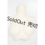 画像: DD/上半身パーツ A-26-08-17-331-NY-ZA
