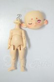 画像1: ANTU(アンティーユ)/自然の秘境：家の猫 A-26-08-17-371-NY-ZA (1)