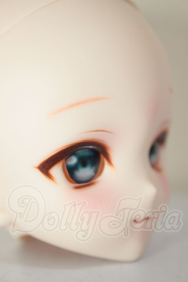 画像2: DDH-10/カスタムヘッド A-26-08-17-356-NY-ZA (2)